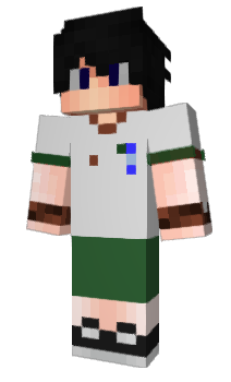 Minecraft skin Carpete