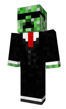 Minecraft skin _roda