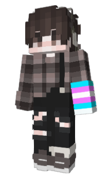 Minecraft skin retroleondre