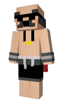 Minecraft skin x1Ray