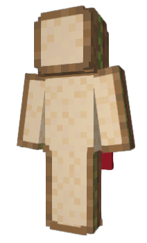 Minecraft skin frsct