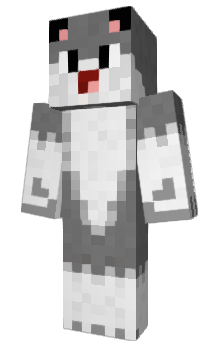 Minecraft skin xViDel