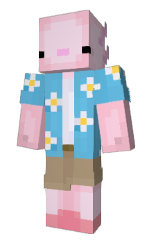 Minecraft skin Axocali