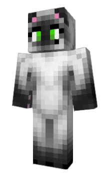 Minecraft скин по нику MITPA