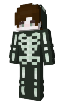 Minecraft skin meowlie