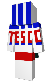 Minecraft skin Tesco