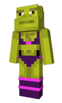 Minecraft skin Sonjoo