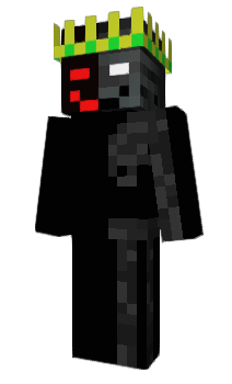 Minecraft skin 2013Borysek_Micr