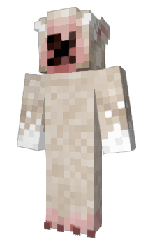 Minecraft skin drtu