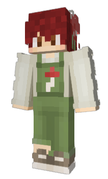Minecraft skin fairm