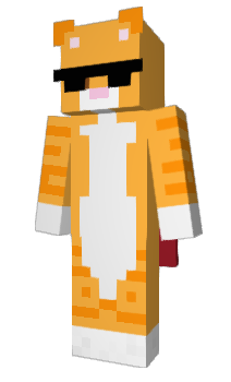 Minecraft скін по ніку Rich17