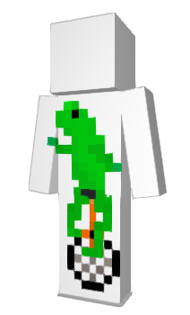 Minecraft skin Voxill