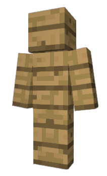 Minecraft skin E87
