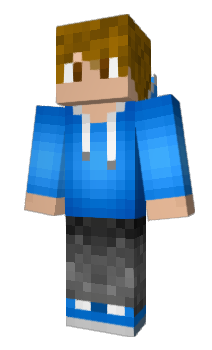 Minecraft skin Hska