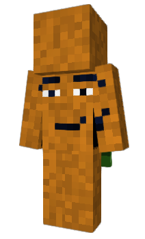 Minecraft skin nbbm