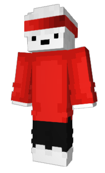 Minecraft skin vccl