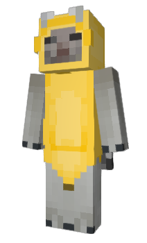 Minecraft скин по нику Kermbora
