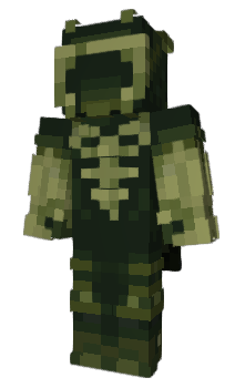 Minecraft skin 0577