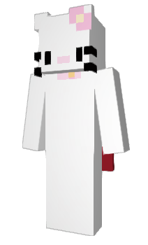 Minecraft skin Destin