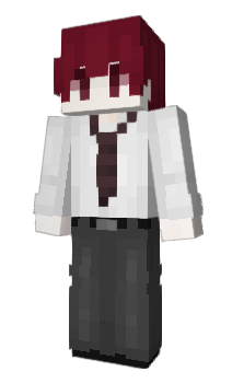 Minecraft skin ppvem