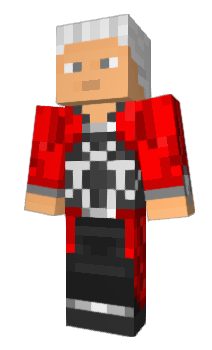 Minecraft skin archerfate