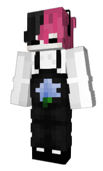 Minecraft skin CAKEgi