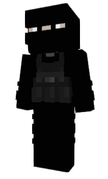 Minecraft skin fsh8h