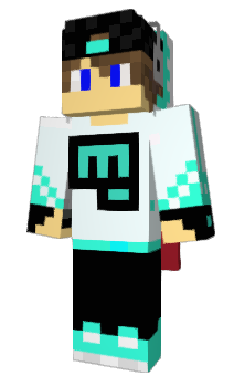 Minecraft skin WTDS