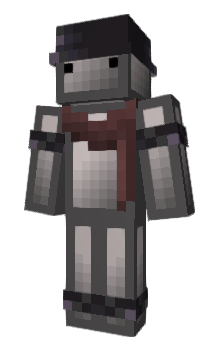 Minecraft skin Distre