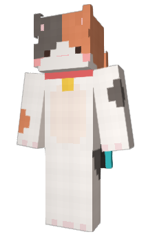 Minecraft скин по нику SC100