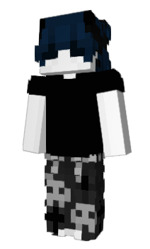 Minecraft skin pcbt