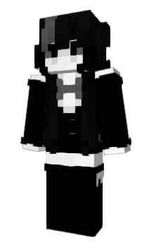 Minecraft skin Panci