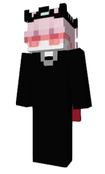 Minecraft skin presidental_og