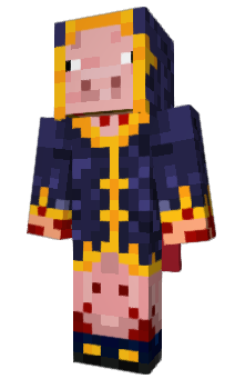 Minecraft skin Robhin