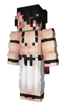 Minecraft skin TidierDuke