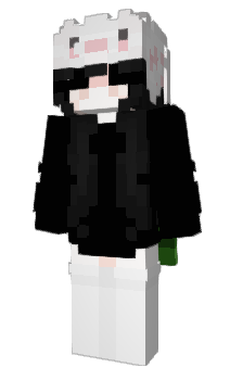 Minecraft skin Lapinn