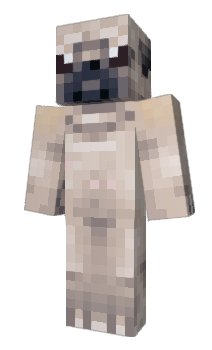 Minecraft skin Janczi