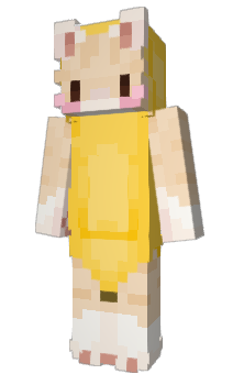 Minecraft skin Doringo