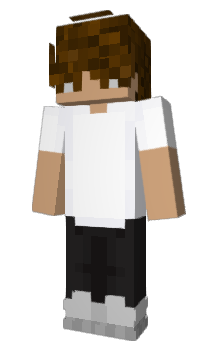 Minecraft skin pillsnperks