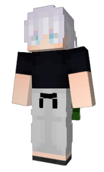 Minecraft skin Slvan