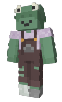 Minecraft skin stct