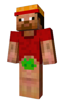 Minecraft skin Danscho