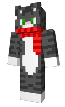 Minecraft скин по нику DartiMinecraft