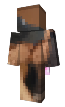 Minecraft skin construx