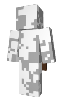 Minecraft skin __force