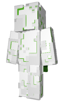 Minecraft skin __force