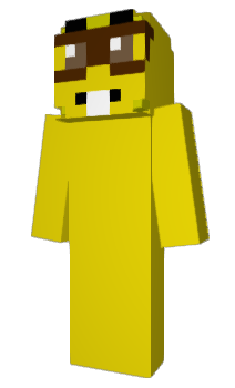 Minecraft skin ZDZS