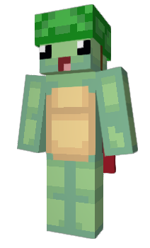 Minecraft skin irim