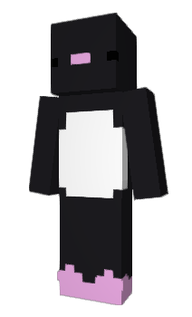 Minecraft skin Pyni