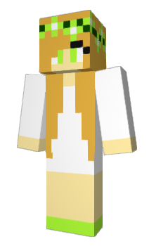 Minecraft skin Safari_